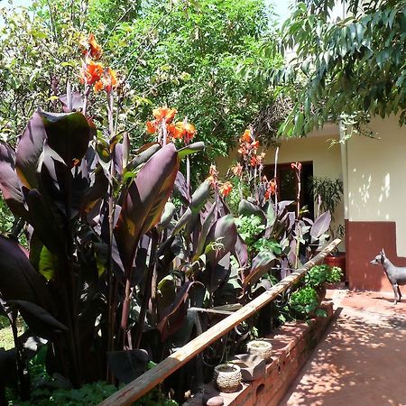 كوسكو Kukuli Lodge B&B المظهر الخارجي الصورة