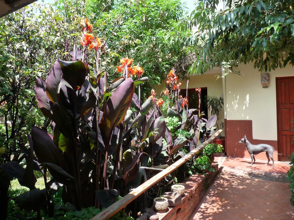 كوسكو Kukuli Lodge B&B المظهر الخارجي الصورة