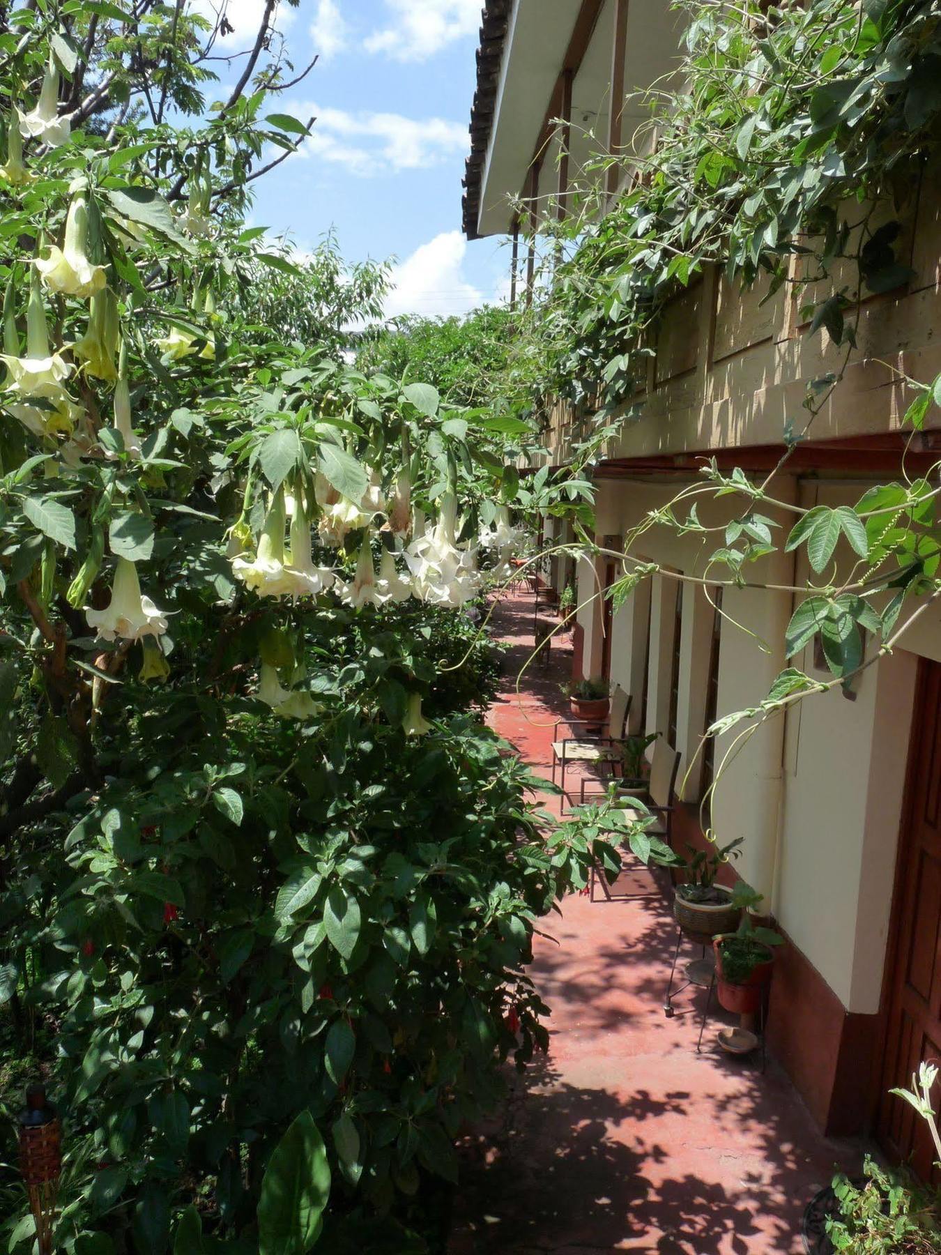 كوسكو Kukuli Lodge B&B المظهر الخارجي الصورة
