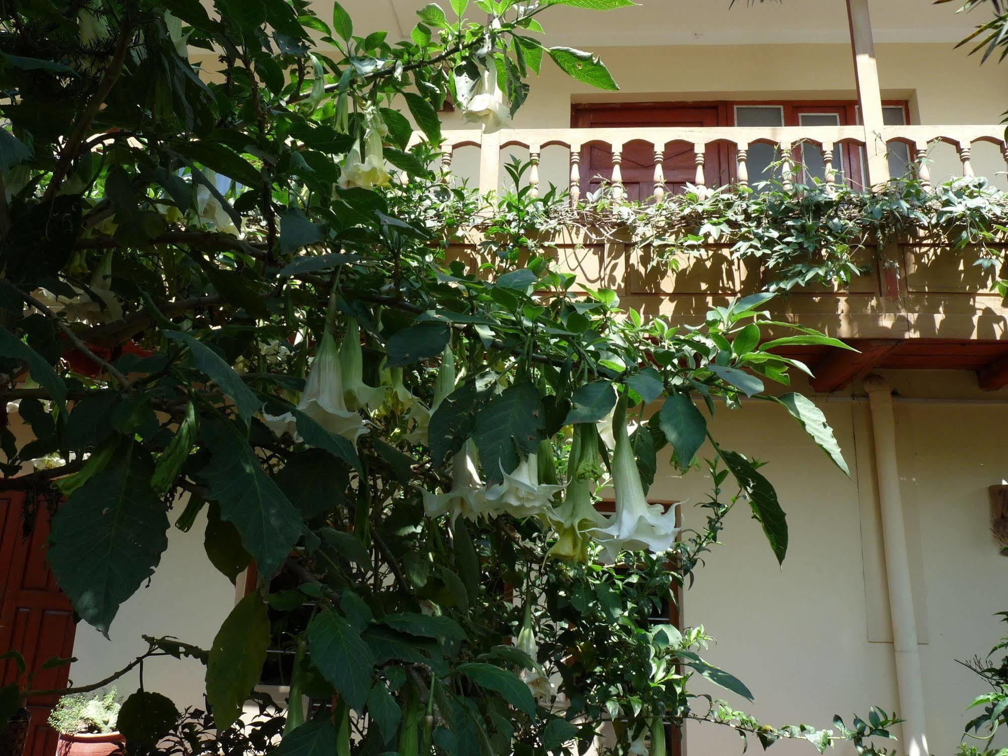 كوسكو Kukuli Lodge B&B المظهر الخارجي الصورة